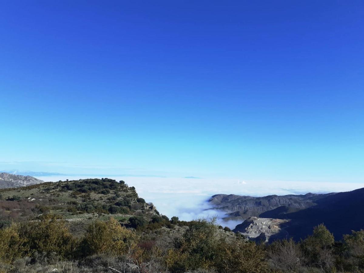 Casasdetrevijano Mirador De Mateo Soto en Cameros Exterior foto